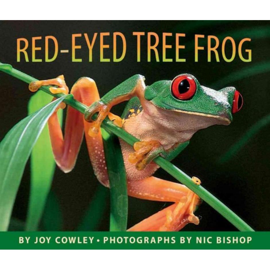 Livro - Red-Eyed Tree Frog, The