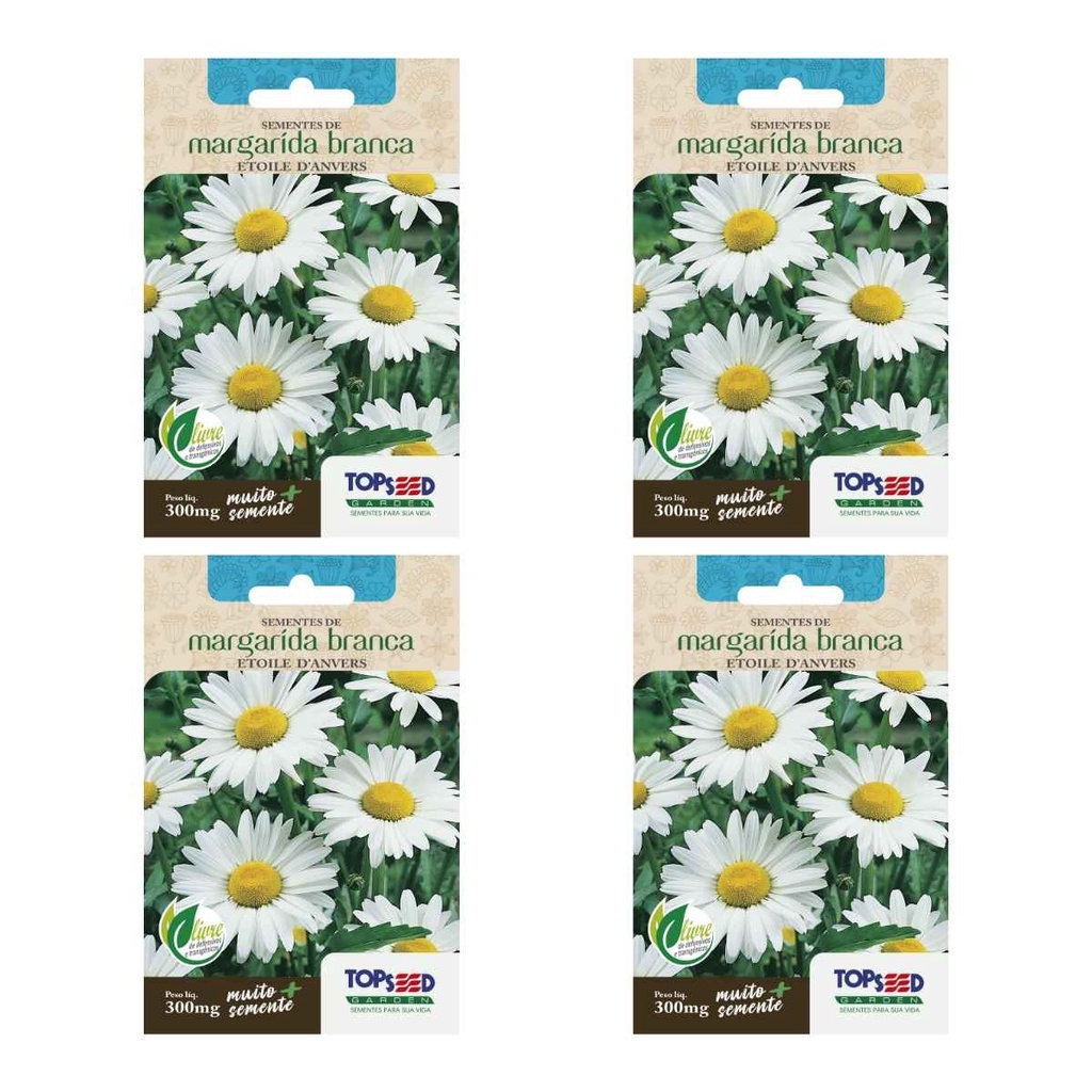 4X Sementes Margarida Branca (Etoile Danvers) TOPSEED