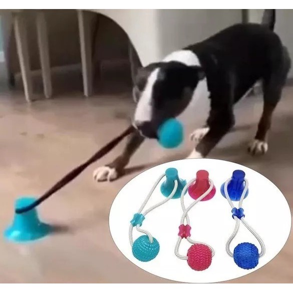 Brinquedo para pet Interativo gruda no chão em Oferta na Shopee