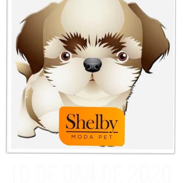 SHELBY MODA PET
