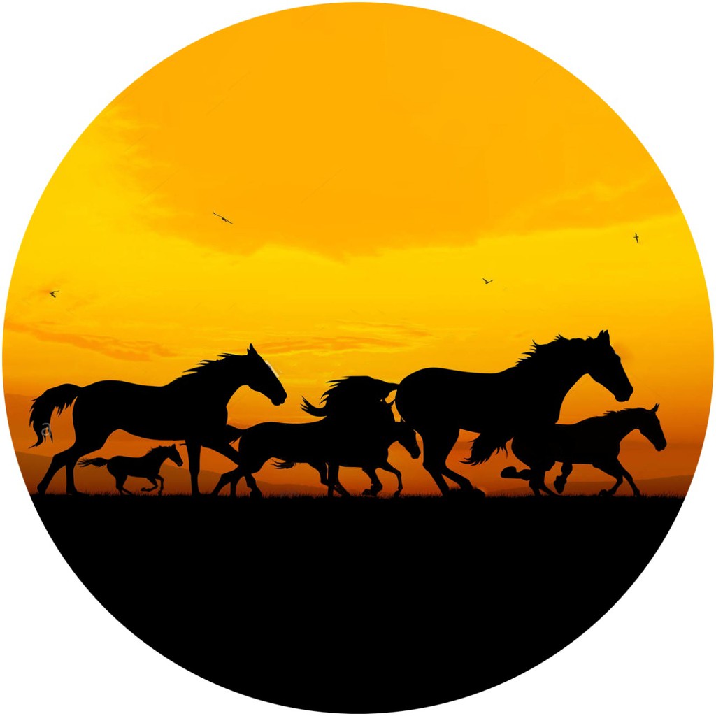 Capa de Estepe para Ecosport Crossfox Cavalo