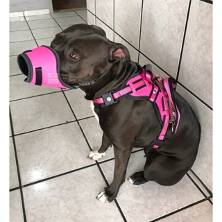 Kit Guia + Peitoral + Focinheira Cachorro Porte Pequeno/Médio/Grande Anti Puxão Super Resistente em Oferta na Shopee