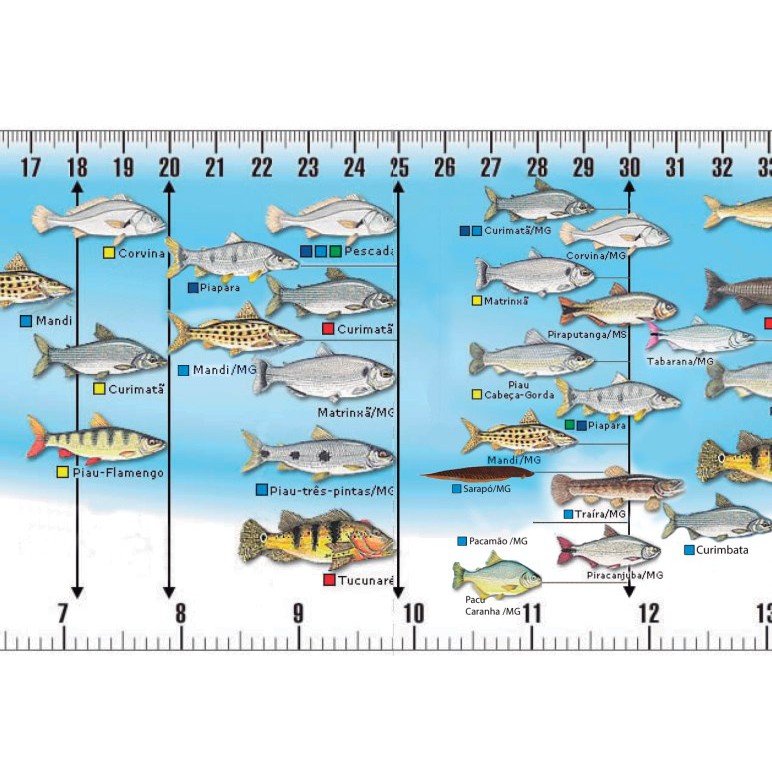 Régua De Medidas Peixes - Oficial - Tamanhos Mínimos - Com proteção UV — imagem 2 de 2