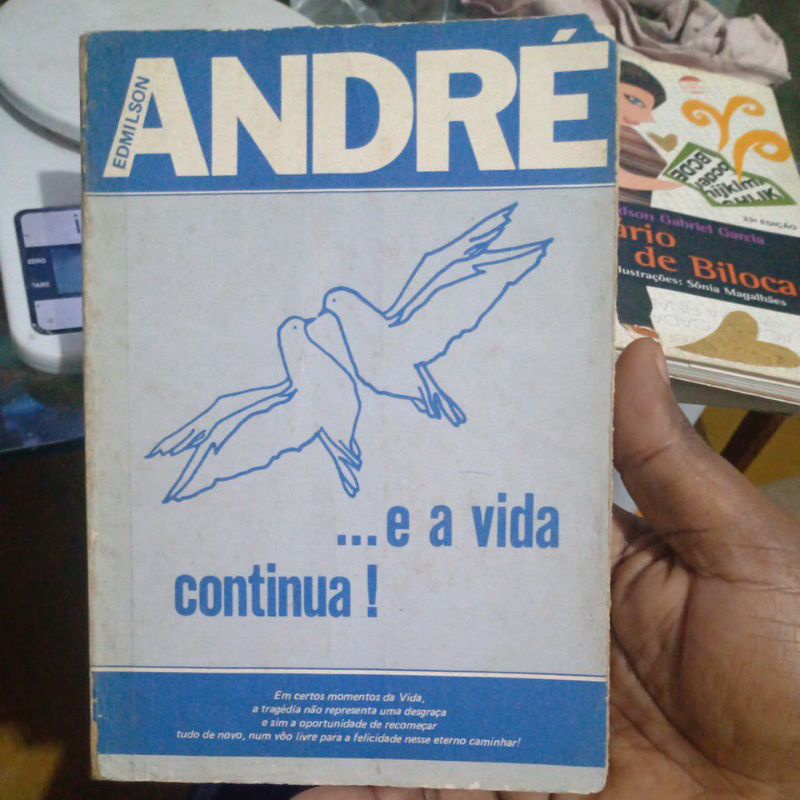 Livro - ... E a Vida Continua! - Edmilson André