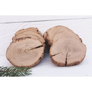 Lote de 20 Bolacha de Madeira Natura Rústica Tronco Para Decoração de 5 a 8 cm de diâmetro Artesanato