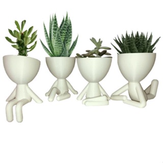 Robert Plant Kit 4 Mini Vasinhos 6cm Cactos Suculentas Decor em Oferta na Shopee