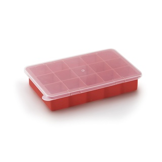 Forma 15 Cubos Molde Silicone Livre Bpa Com Tampa Empilhavel
