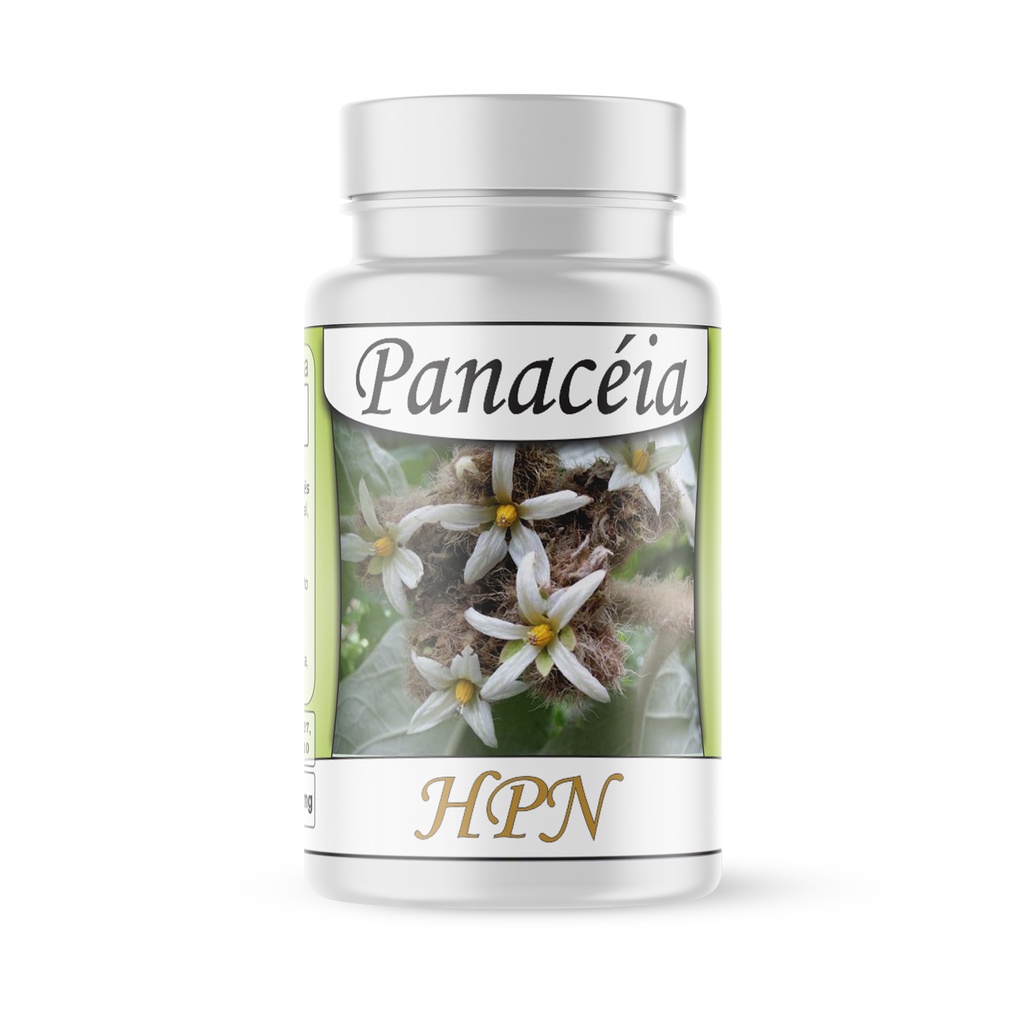 Panacéia (Solanum cernuum) Erva Medicinal Pura 500mg em Oferta na Shopee