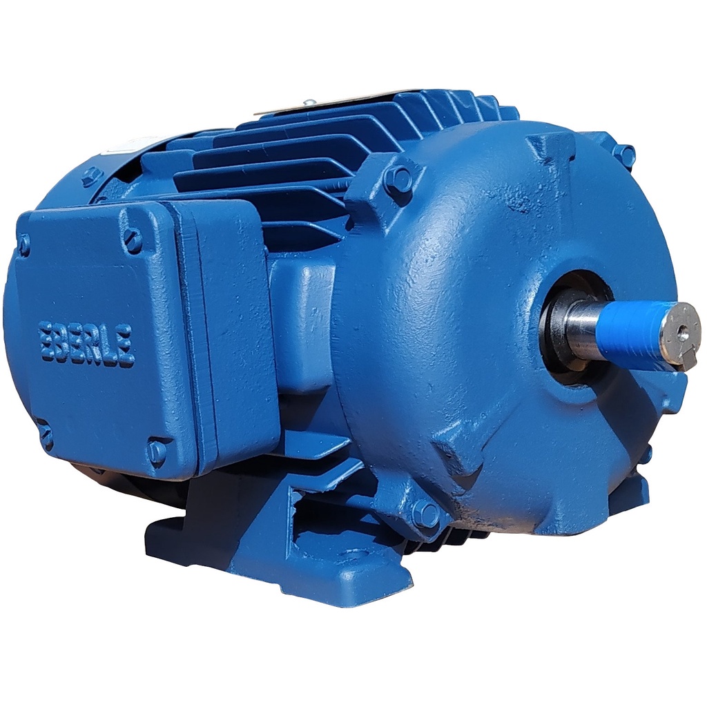 Motor Elétrico Trifásico 2 cv 4 Polos Blindado Baixa Rotação 4 Tensão Eberle Mercosul