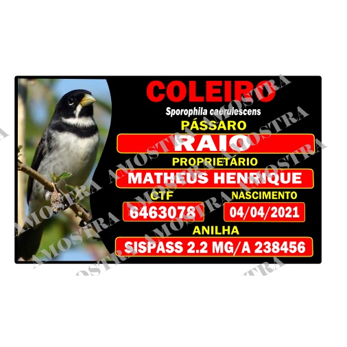 Placa identificação personalizada para gaiola de pássaros todas espécies trinca, coleiro, tico tico, azulão, curió, bico pimenta, canário, pintassilgo, sabiá, pintassilgo, e outros.