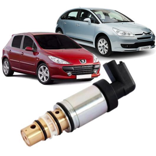 Valvula Torre Controle do Compressor Sanden Citroen C4 Ds Peugeot 307 308 408 6c12