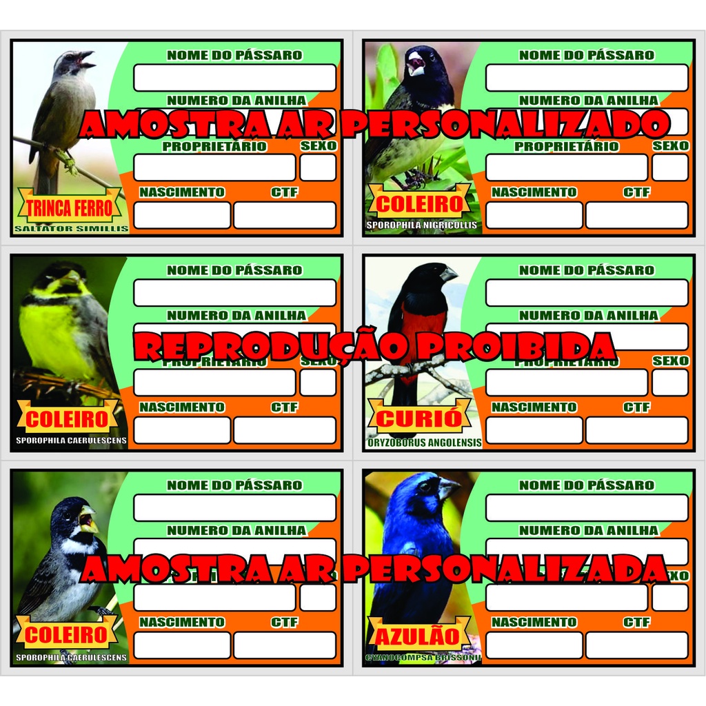 20 Placas De Gaiola Identificação De Pássaro tipo crachá  podendo ser enviado sortido de acordo com a necessidade