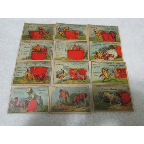 Estampas Eucalol Série 211 - Carococó E Caracaca