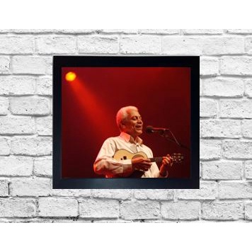 Quadro A4 decorativo Paulinho da Viola moldurado 24x33 cm Cod.440 – A4