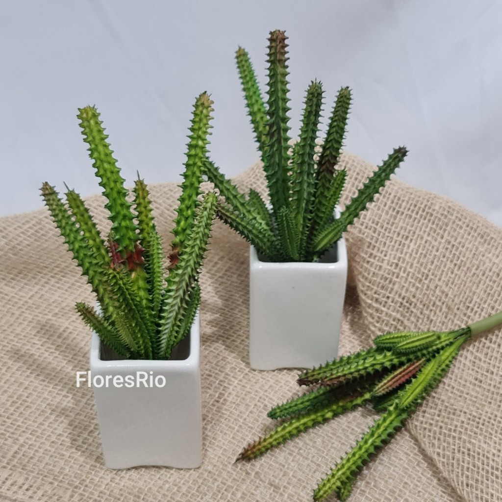 Cacto avulsa / solta artificial Suculenta P/ Decoração , Arranjos, Decorar Festas