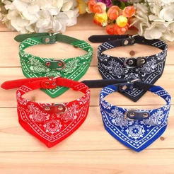 Coleira Bandana Gatos E Cachorros De Pequeno Porte