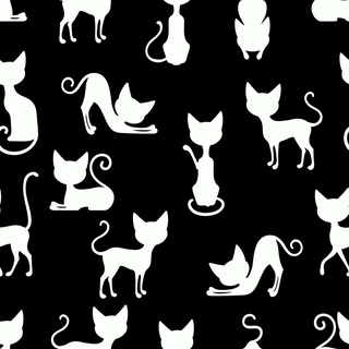 Papel De Parede Infantil Gatos Gatinhos Preto e Branco Lavável Autocolante Quarto Autoadesivo