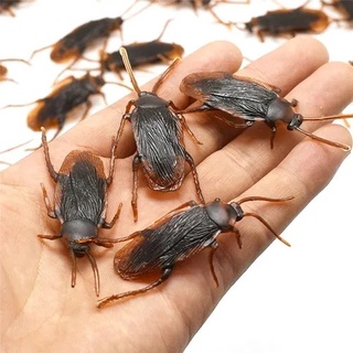 12 Baratas Pegadinha Susto Brinquedo Plástico - Perfeita!
