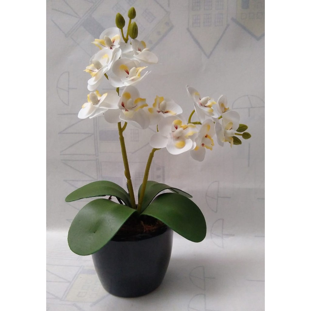 Mini Orquídea Branca Artificial No Vaso De Cerâmica Redondo Preto | Shopee  Brasil