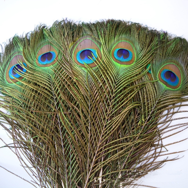 7  UNIDADES:  Penas ( Plumas ) Naturais olhos da calda De Pavão Azul para Artesanato ou decoração.