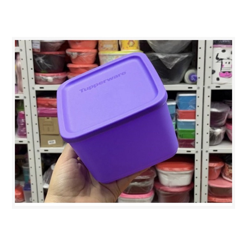 refri line tupperware | Shopee Brasil