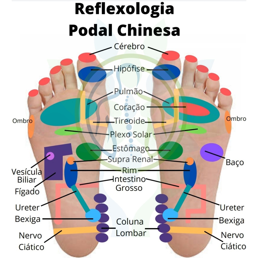 Mapa De Reflexologia Dos Pés Reflexologia Podal Plastificado Shopee Brasil Vlrengbr 