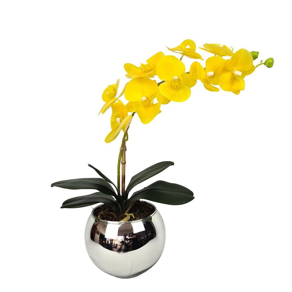 Arranjo Orquídea Artificial Toque Natural Vaso De Vidro | Shopee Brasil
