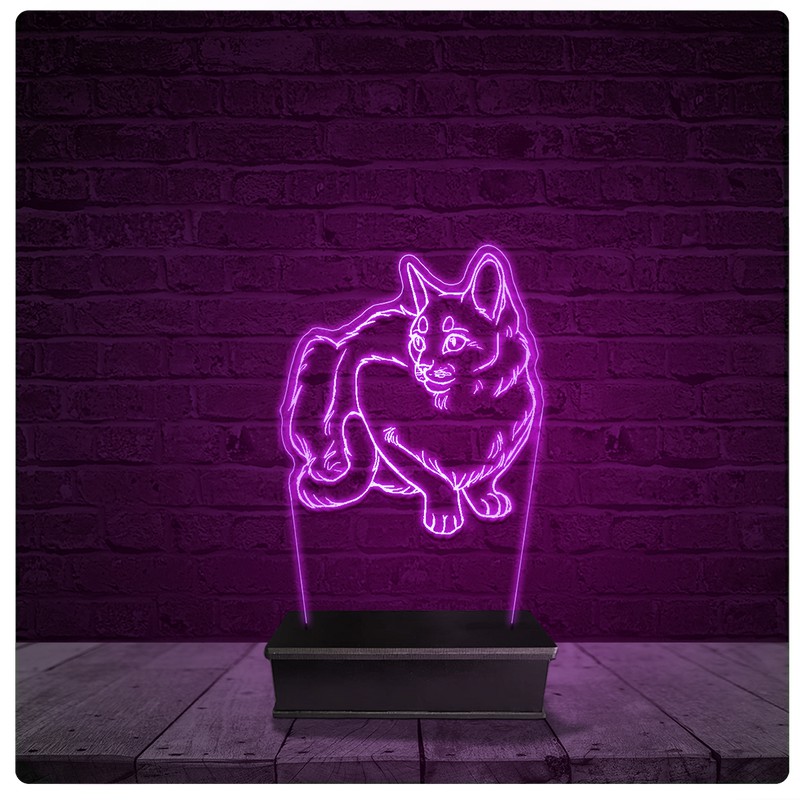 Luminária e Abajur Acrílico Led - Gato Pet Shop 23