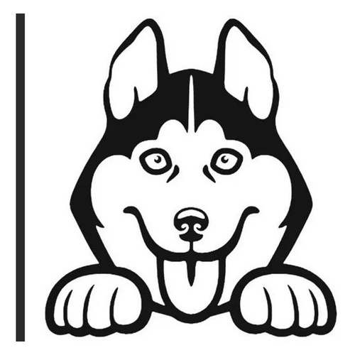 Husky Siberiano Branco: Onde Comprar | BuscaProdutos