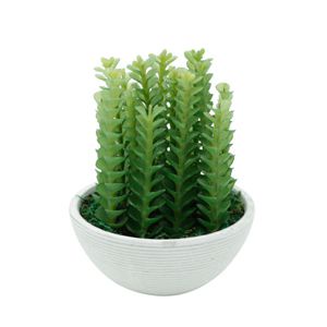 Vaso Plástico E Metal Haworthia Plant Branco E Verde 13,5X13,5X18Cm - Urban