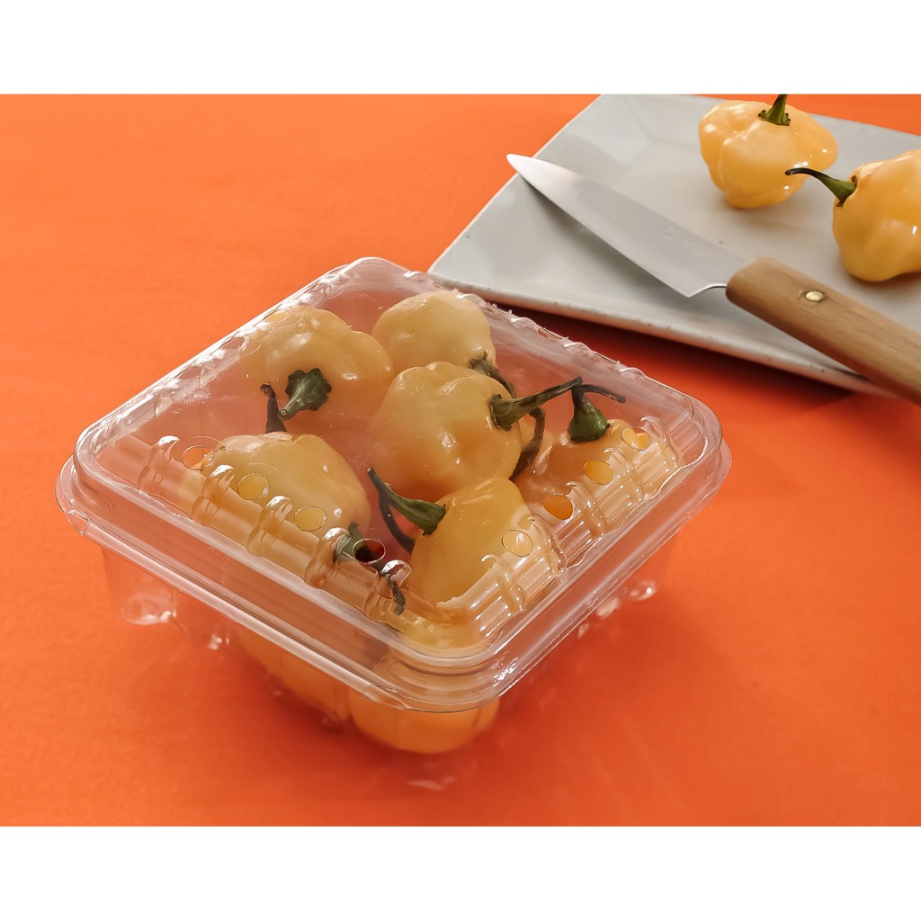 10 Embalagem 300 ml p/ Frutas Pequenas hortifrúti Ref.: GF 6 galvanotek (11,2x10,8x5,1 cm ) em Oferta na Shopee