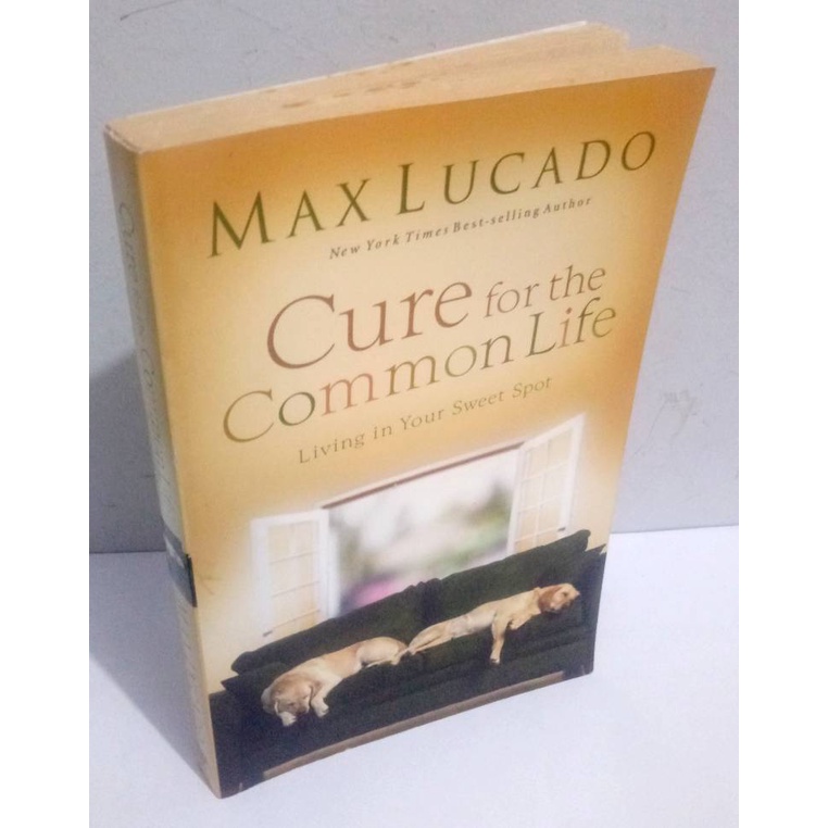 Cure for the Common Life Living in your Sweet Spot Max Lucado Exploring and identifying your own uniqueness Motivation to put your strengths to work