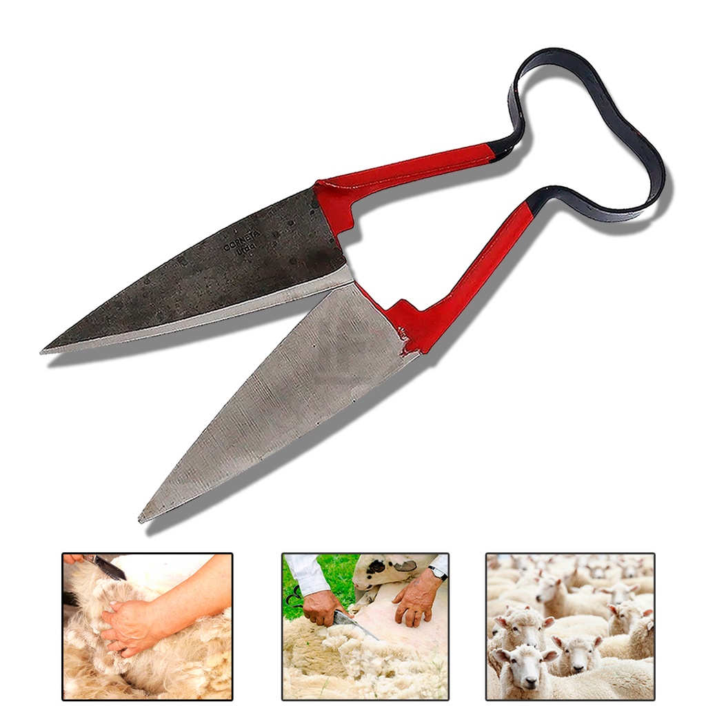 Tesoura Crina/tosquia Ovelhas Corneta 10 Original - Pets