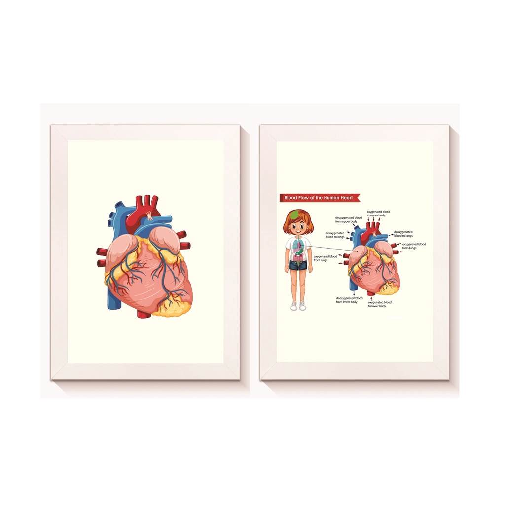 Kit 2 Quadros Decorativos Coração Decoração Consultório Médico Cardiologia Pediatrica Moldura 20x30cm Madeira