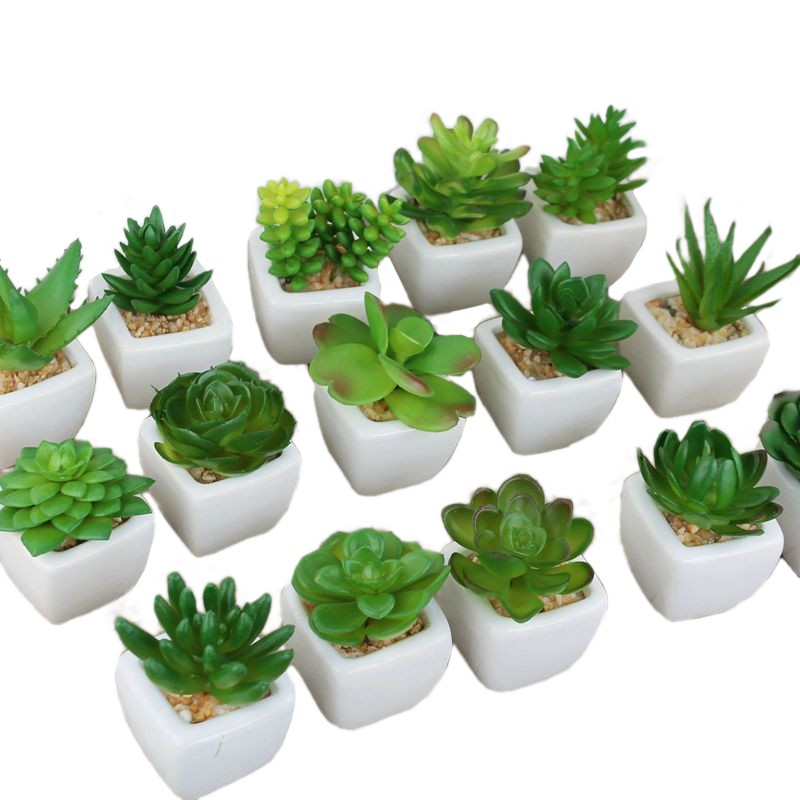Kit 6 Mini Suculentas e cactus Artificiais vários tons de verde Vaso de  Cerâmica | Shopee Brasil