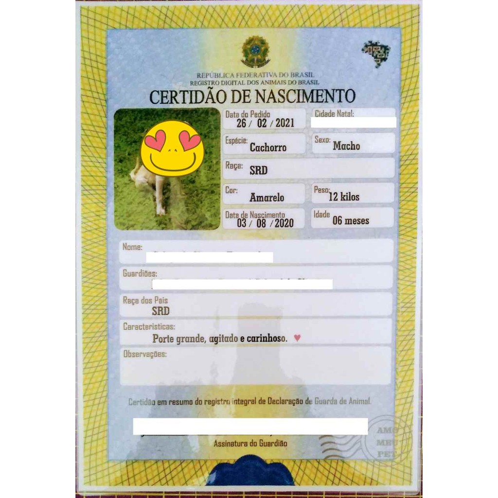Certidão de Nascimento PET - cães e gatos - Plastificada | Shopee Brasil