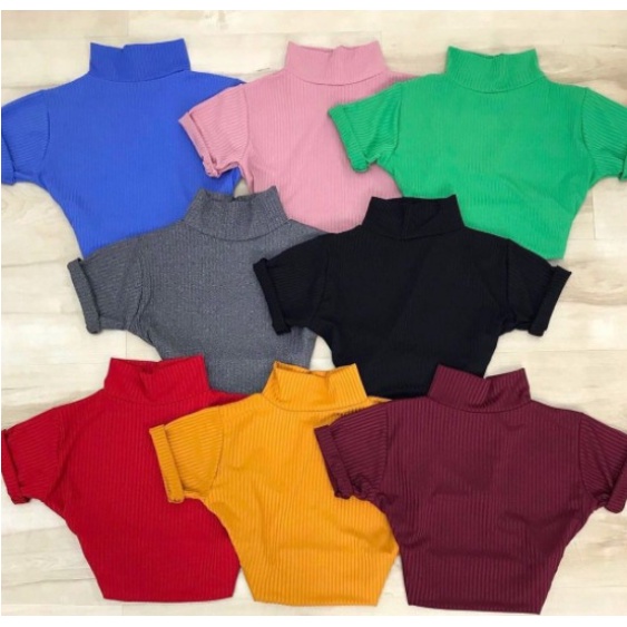 Cropped Gola Alta Canelado Moda Blogueira Tendência Feminina Manga Curta Liso Verão (Web Shop)