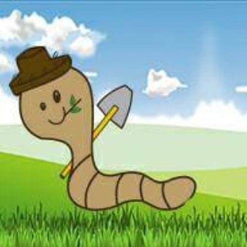 Terra Viva Fertilizantes Orgânicos