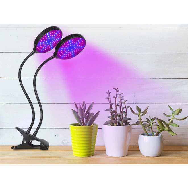 led light indoor plants