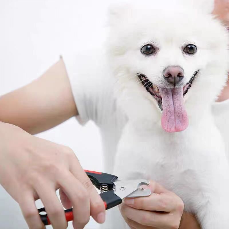 Alicate Tesoura Pet, Corte De Unha Pets，Cão, Gato E Cachorro