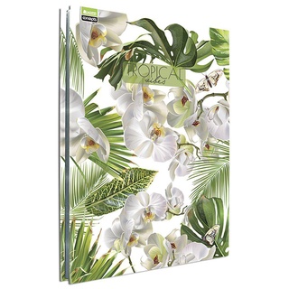 Pasta Catálogo Chies Tropical Vibes Natural c/25 envelopes plásticos em Oferta na Shopee