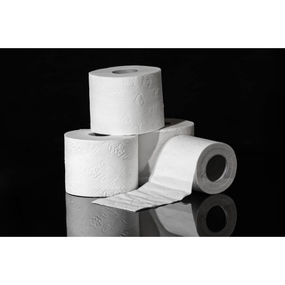 PAPEL HIGIÊNICO 300 Metros com 8 rolos