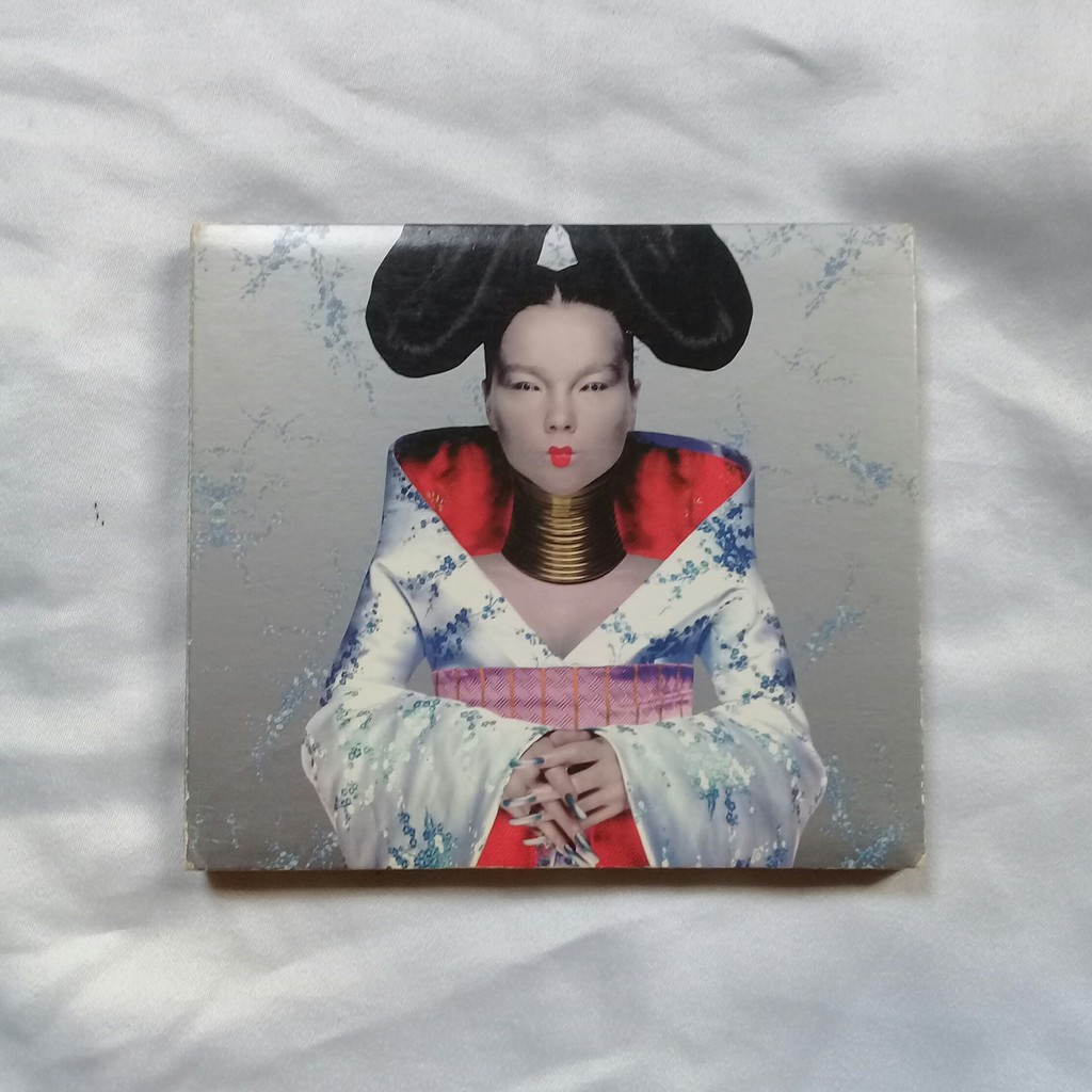 bjork homogenic