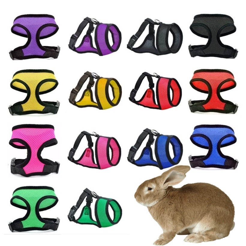 Peitoral Regulável para Coelhos Números 1/2/3/4/5 em Oferta na Shopee