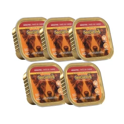 Kit 5 Ração Special Dog Patê Cães Adultos Carne 150g