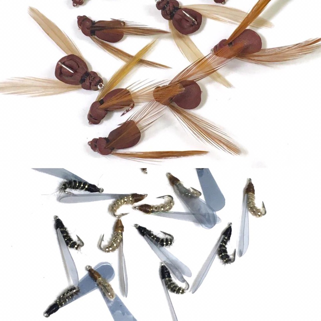 Isca artificial Aleluia Tanajura Lambari Tilápia Kit Com 10 Isca Fly
