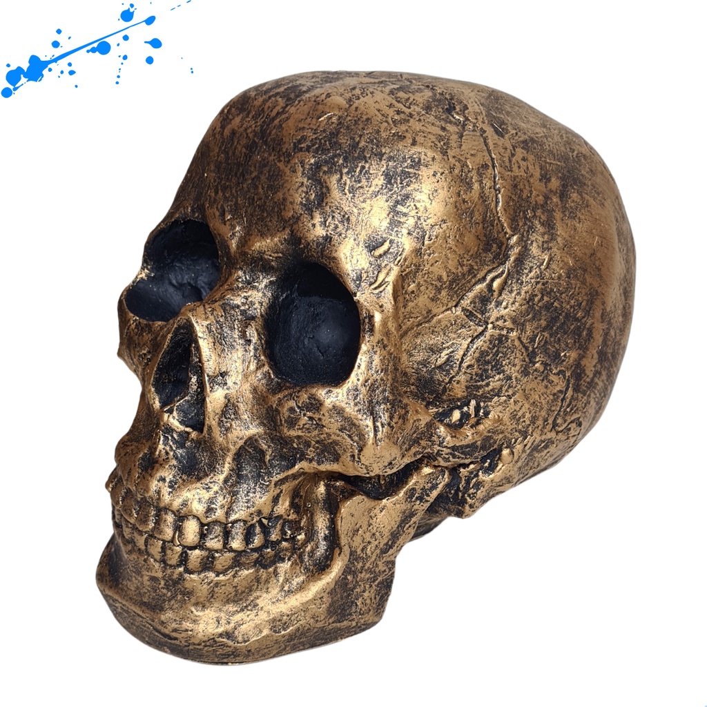 Crânio Caveira Tamanho Real em Resina em Oferta na Shopee
