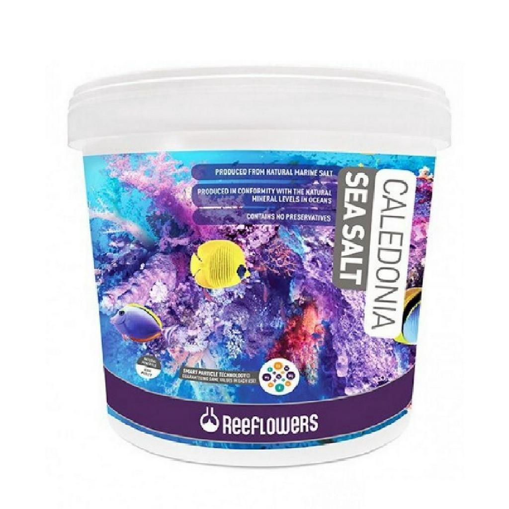 Sal Marinho Caledonia Sea Salt 22,5kg Balde Reeflowers