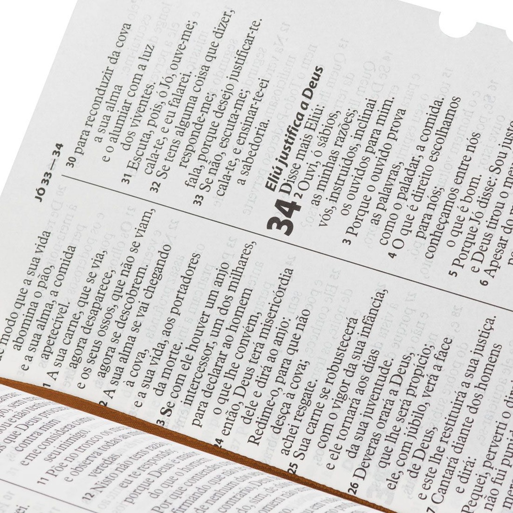 Detalhes do Bíblia Sagrada ARA Letra Gigante | Índice | Marrom Nobre