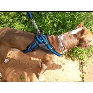 Coleira Peitoral Cães Médio Grande Porte Pitbull Pastor Alemão Guia Super Reforçada em Oferta na Shopee